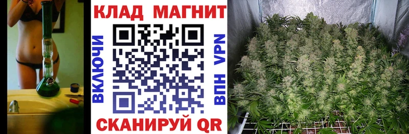 Где найти наркотики Сосновый Бор Cocaine  Alpha PVP  Меф  ГАШИШ  KRAKEN зеркало  МАРИХУАНА 