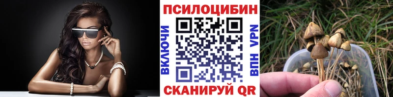 Галлюциногенные грибы мухоморы закладка Сосновый Бор