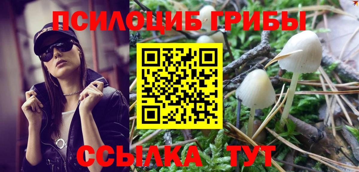 Галлюциногенные грибы ЛСД Сосновый Бор