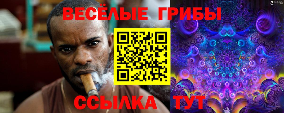 Галлюциногенные грибы GOLDEN TEACHER Сосновый Бор